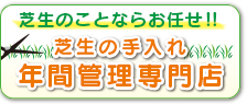 芝生の手入れ年間管理専門店