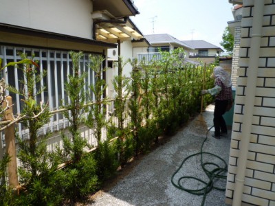 新築植栽工事08