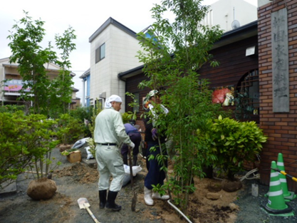 植樹：生垣・シンボルツリー